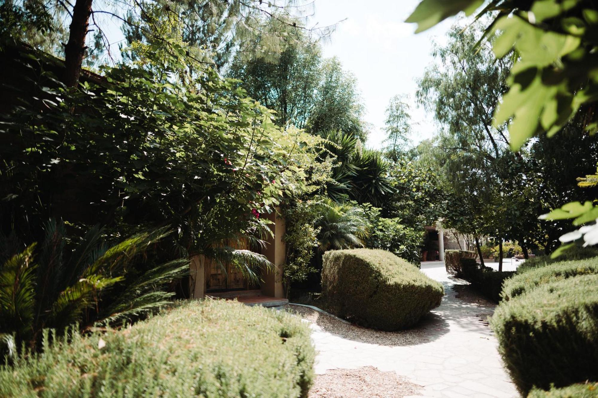 Bed & Breakfast Maria & Bernardo Casa - Vinedo El Coyote